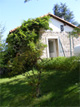 Cliquez Pour Agrandir